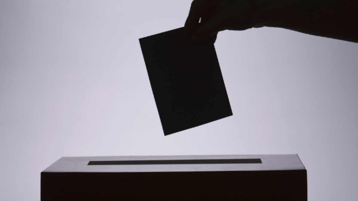 Voting